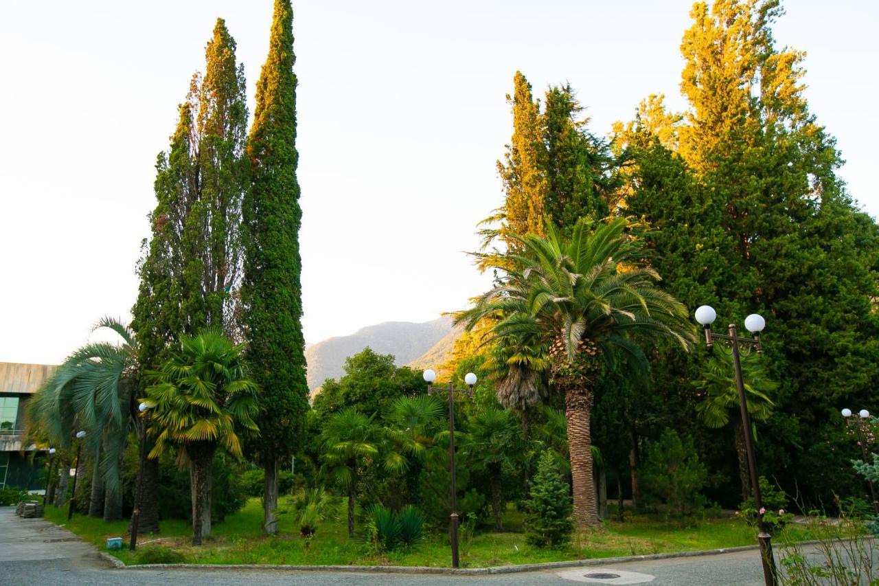 Amza Park Hotel Gagra Esterno foto